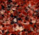 Sequoia Red