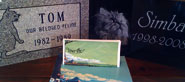 Pet Memorials